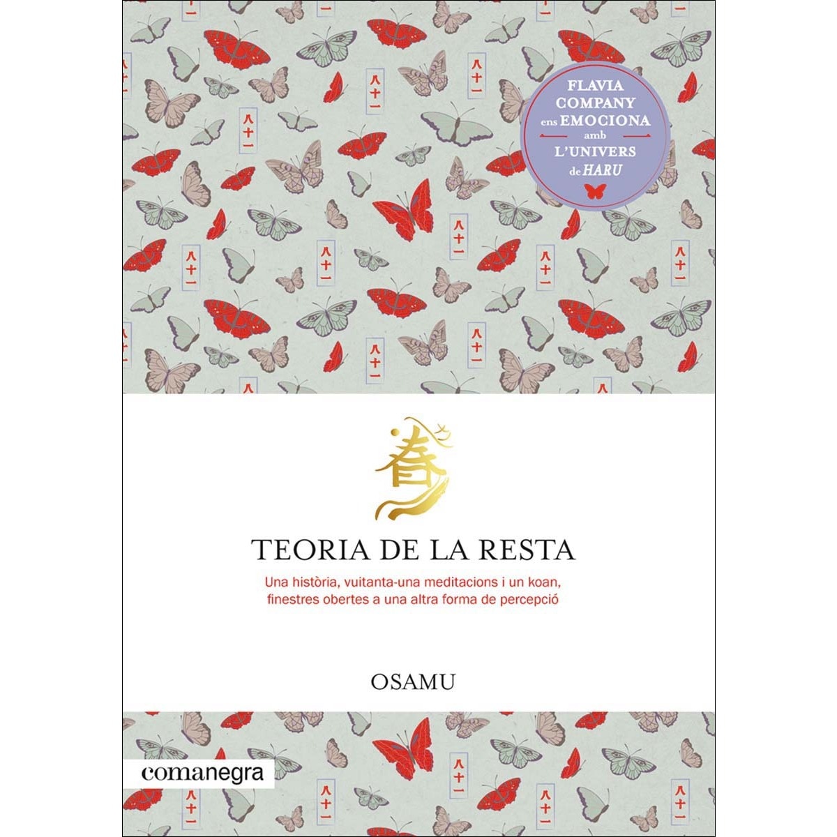 Imagem 0 de Teoria de la resta: Una història, vuitanta-una meditacions i un koan(Tapa blanda)