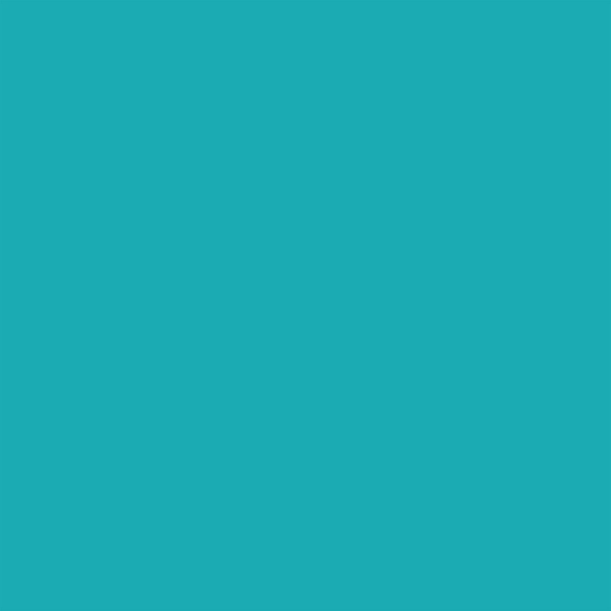 Rotulador BrushMarker con Punta Pincel Winsor & Newton Turquoise (C247) 4