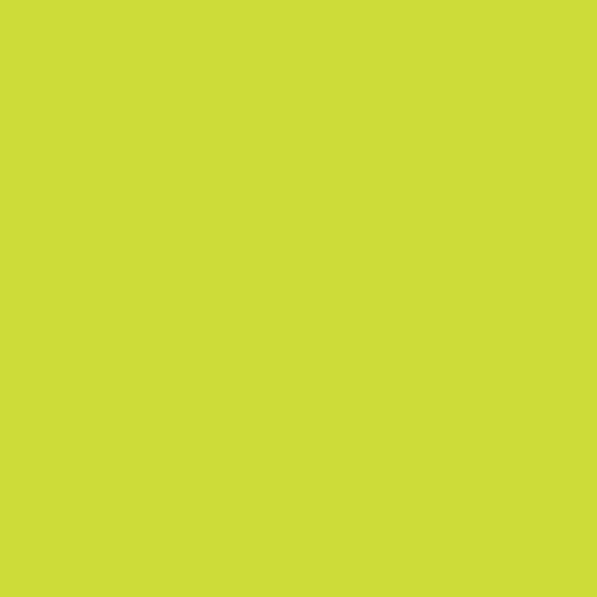 Rotulador BrushMarker con Punta Pincel Winsor & Newton Lime Green (G178) 4