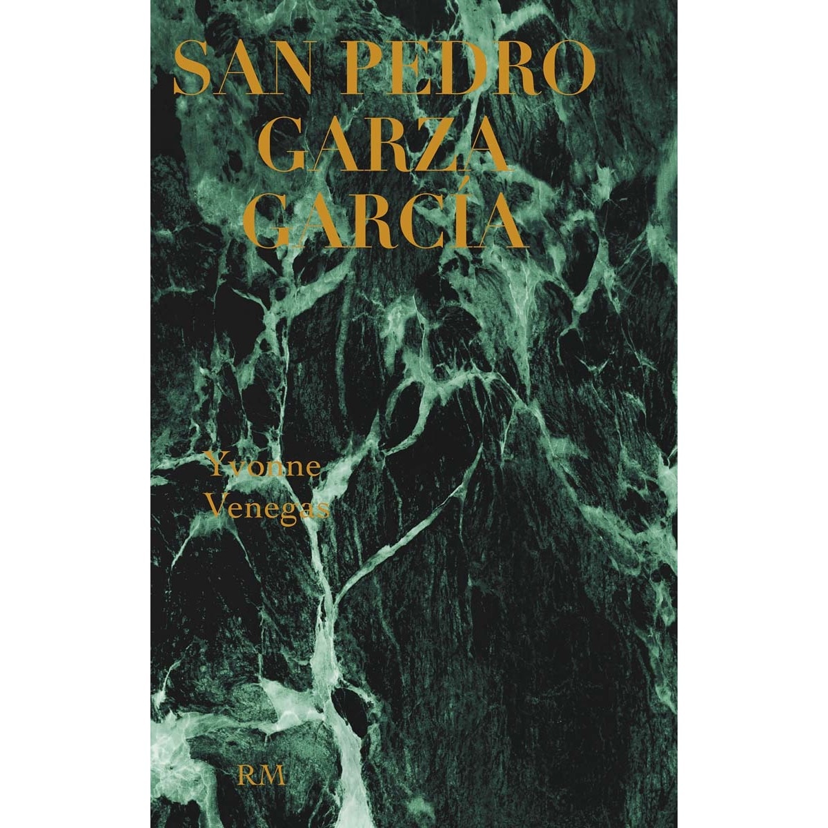 San pedro garza garcía(Tapa blanda) 1