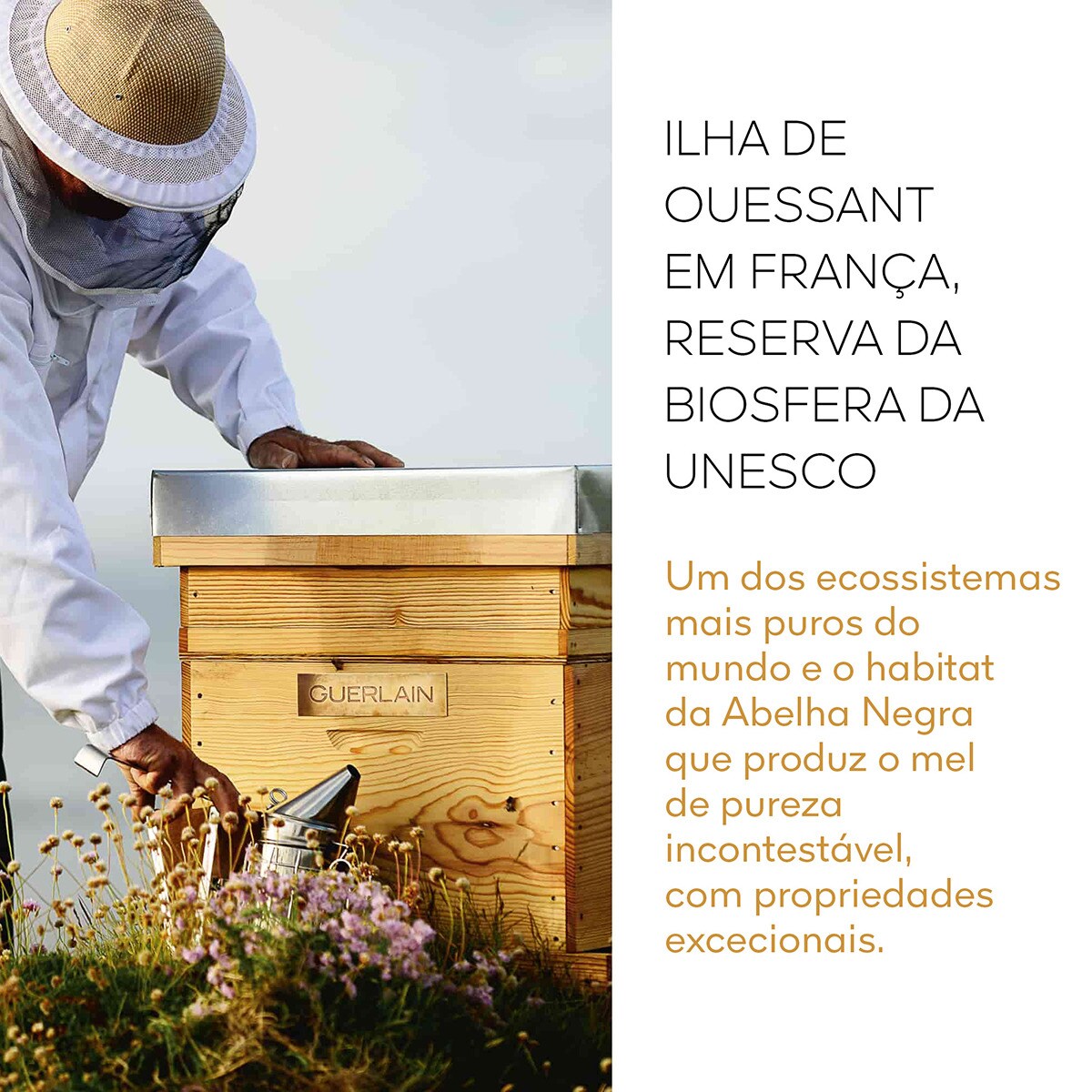 Sérum Abeille Royale Daily Repair 3