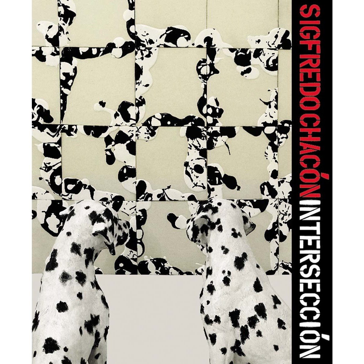 Sigfredo chacón. Crossings 1