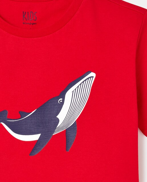 Camiseta de niño en rojo con print · Kids El Corte Inglés · El Corte Inglés