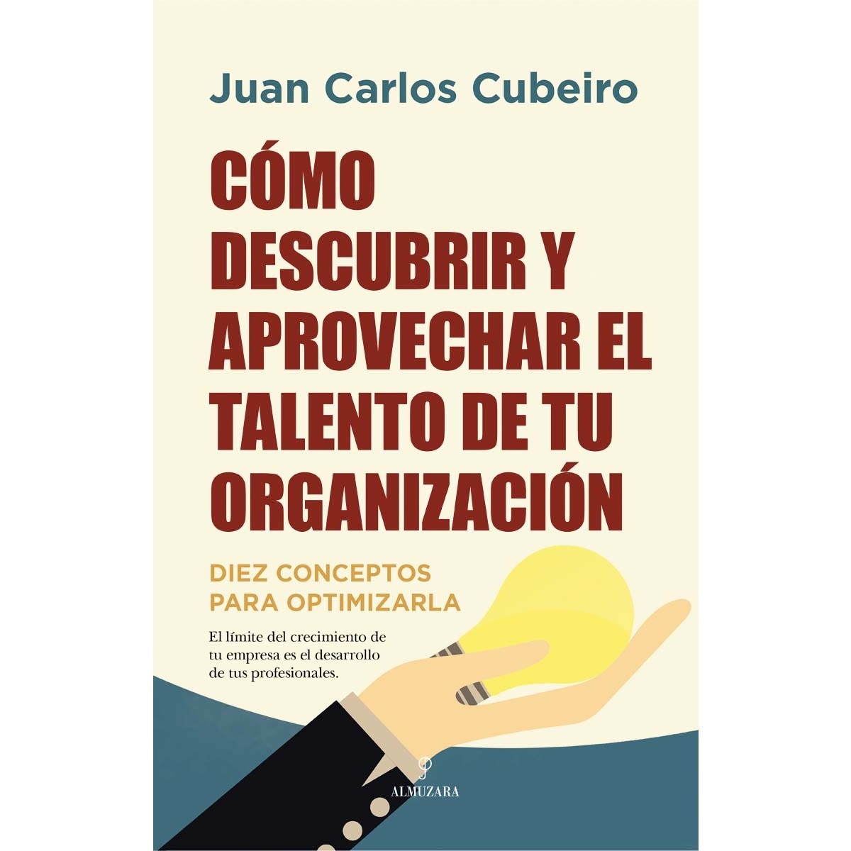 Imagem 0 de Cómo descubrir y aprovechar el talento de tu organización: Diez conceptos para optimizarla(Tapa blanda)