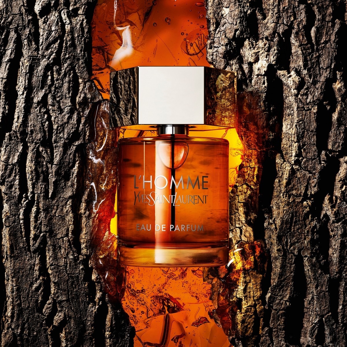L'Homme Eau de Parfum 60ml Yves Saint Laurent 6