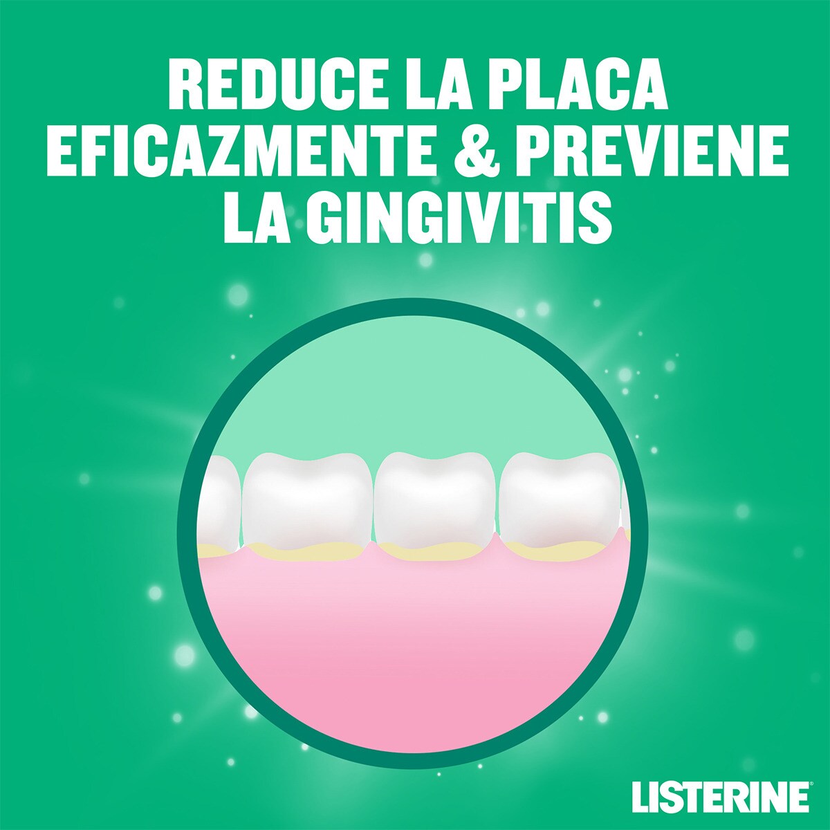 Buy Alcohol free Mild Mint Mouthwash For Teeth And Gums Flask 500 Ml 