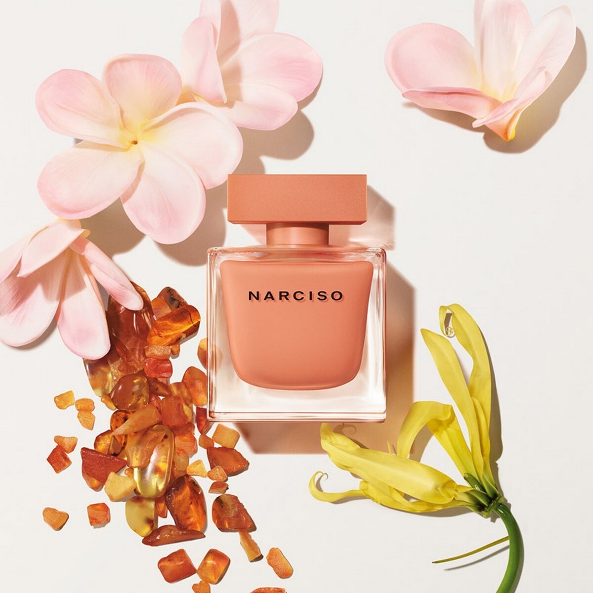Narciso Ambrée Eau de Parfum 50ml Narciso Rodriguez 3