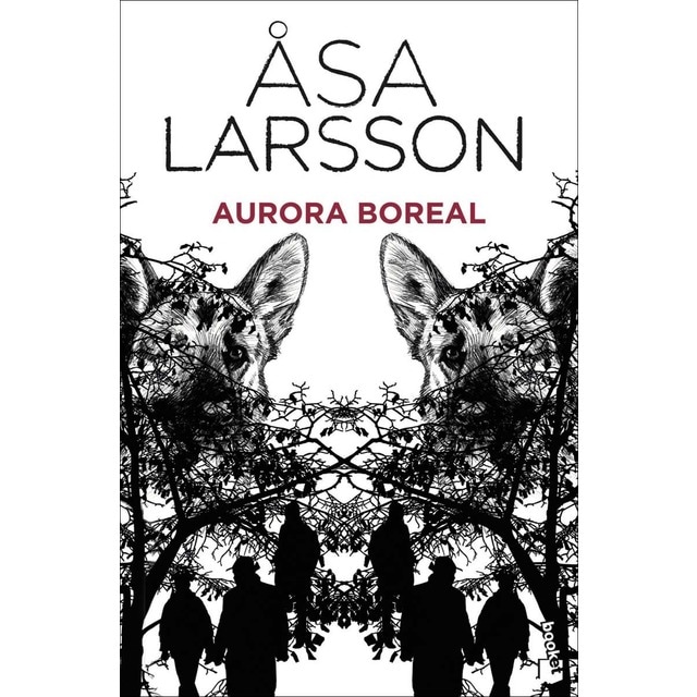 Imagen 0 de Aurora boreal