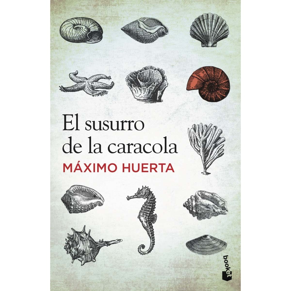 Imagen 0 de El susurro de la caracola (Bolsillo) (Tapa blanda)