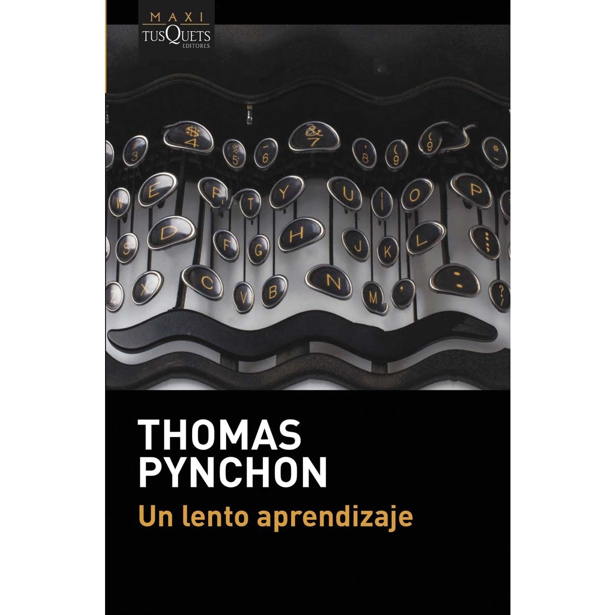 Un lento aprendizaje (Bolsillo) (Tapa blanda) 1