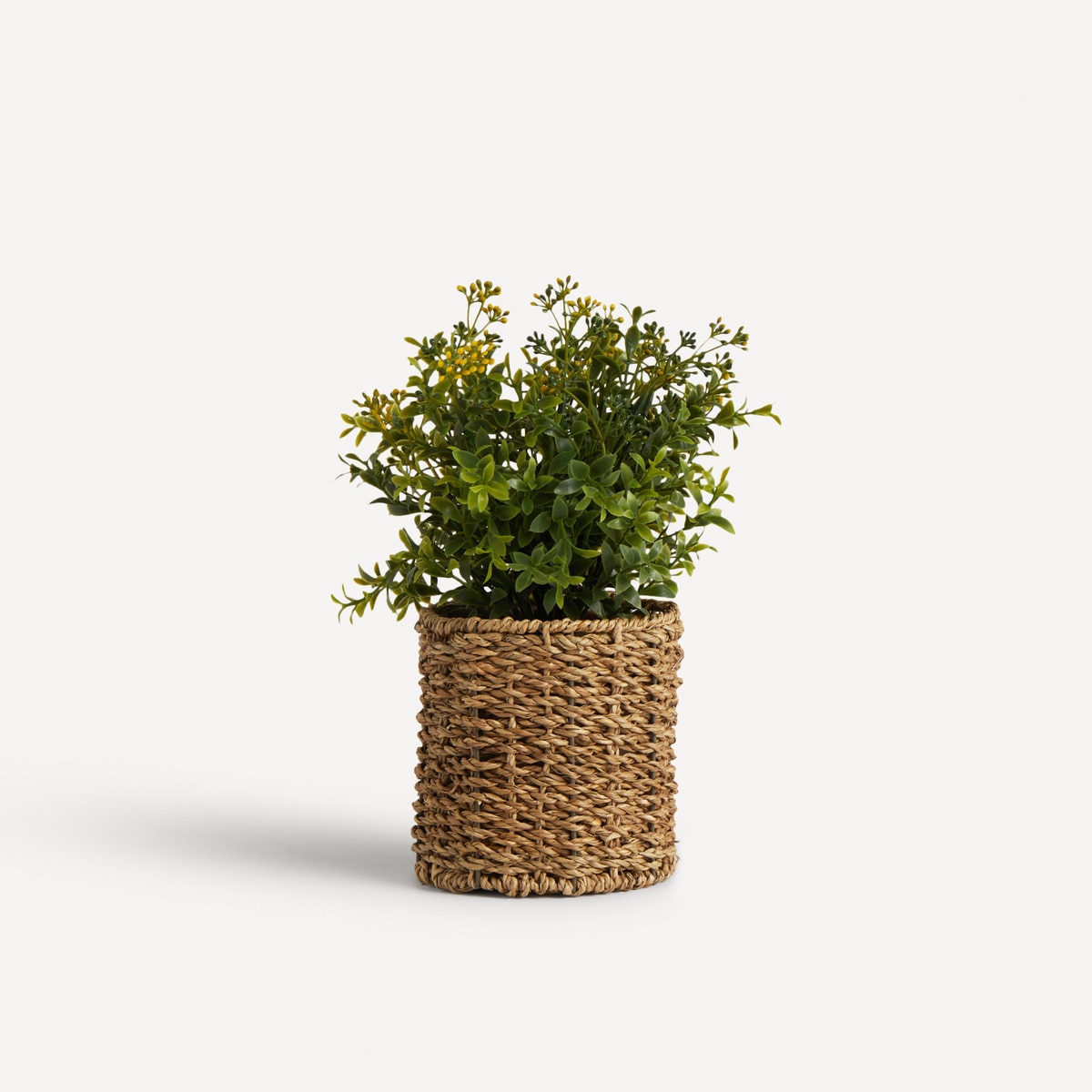 Plante artificielle Cassia Corimbosaen en pot en rotin