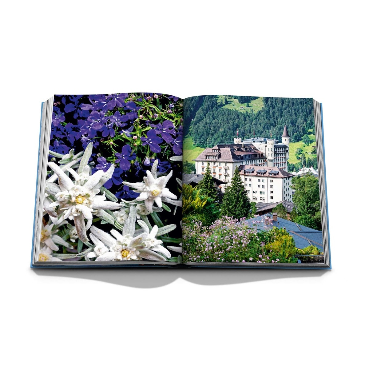 Gstaad glam 8