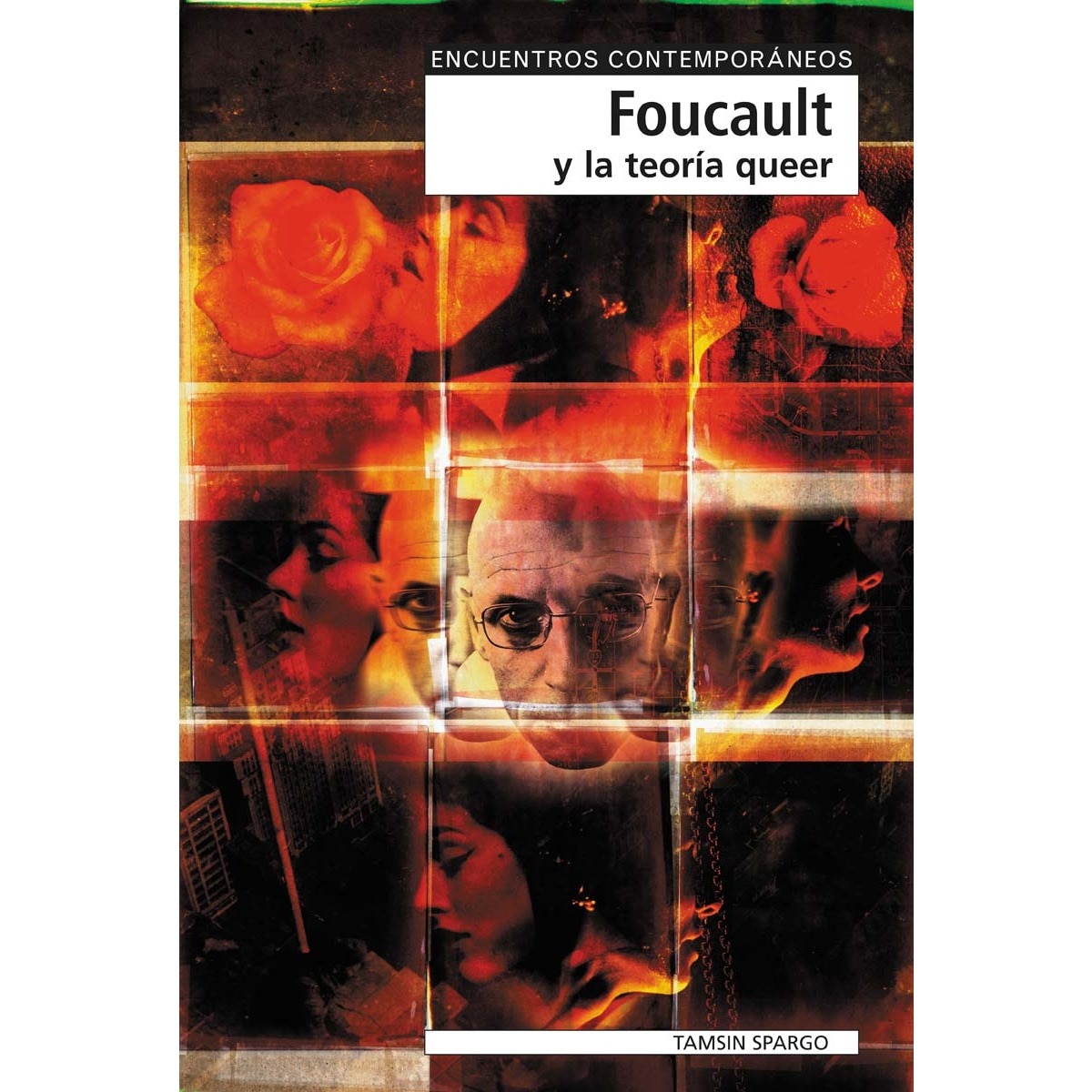 Foucault y la teoría queer(Tapa blanda) 1