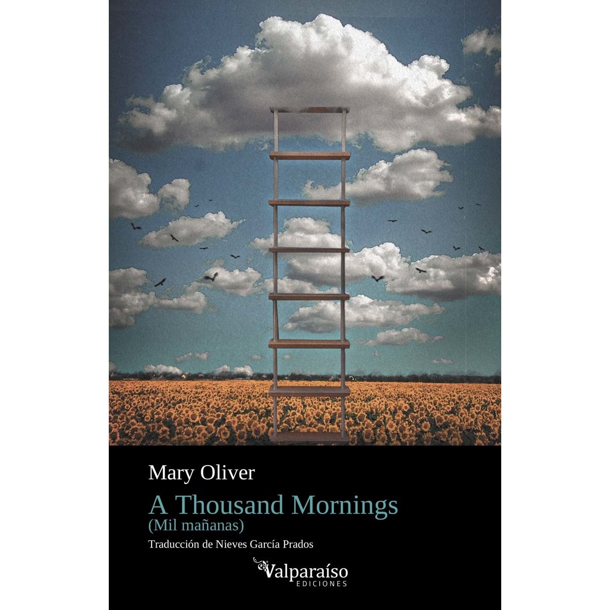 A Thousand Mornings: Mil Mañanas (Capa mole com abas) 1