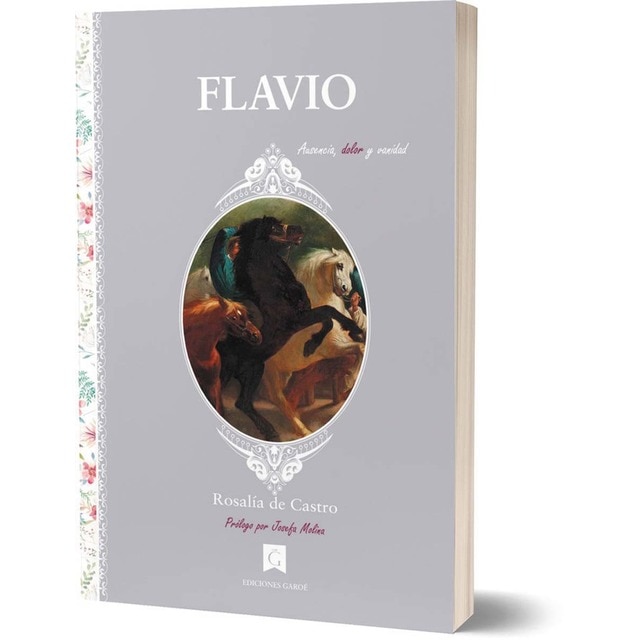 Imagen 0 de Flavio: Ausencia, dolor y vanidad  (Tapa blanda con solapas)