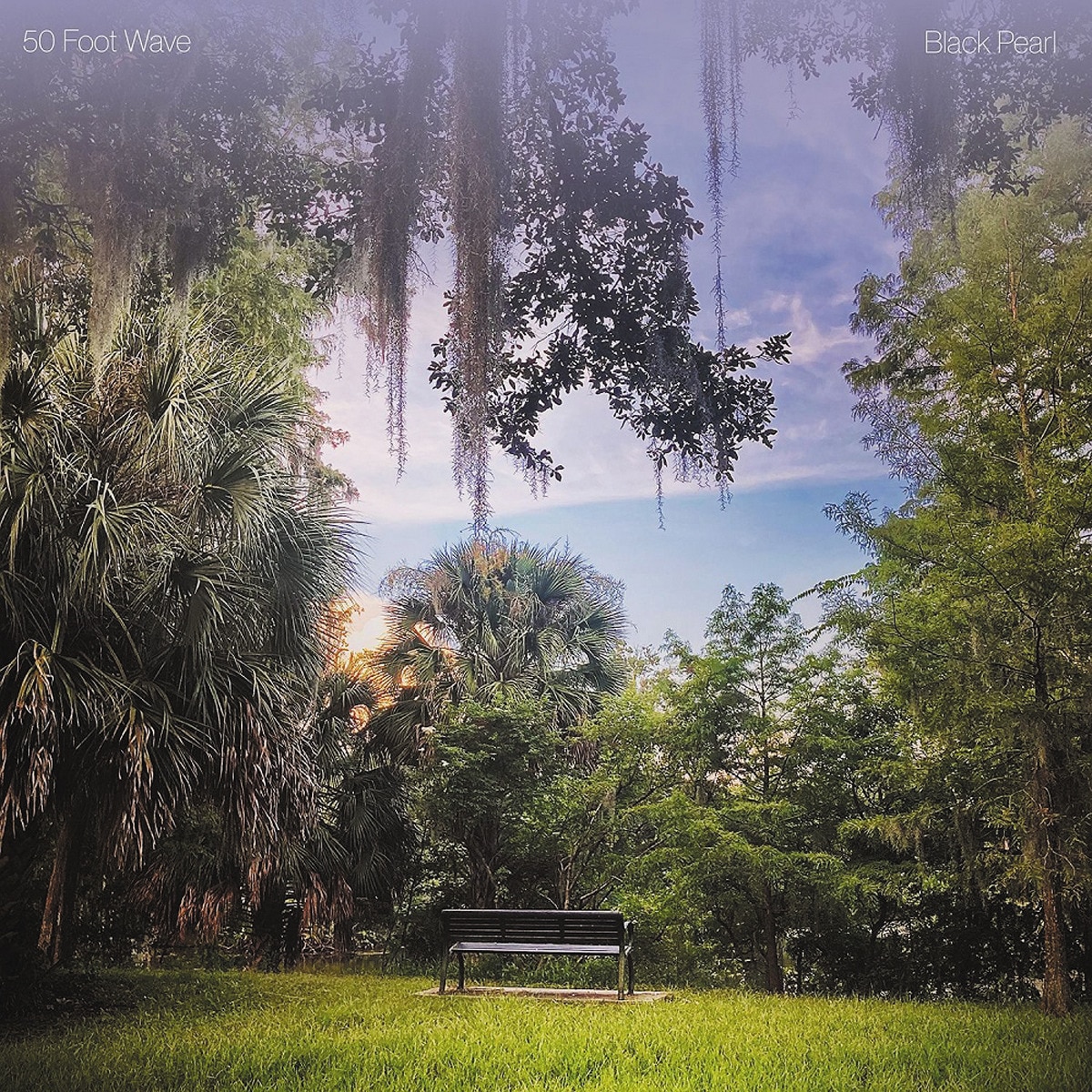 Imagem 0 de Black Pearl (LP-Vinil)