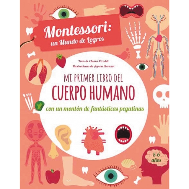 Imagem 0 de MI PRIMER LIBRO DEL CUERPO HUMANO (VVKIDS) (Capa mole)