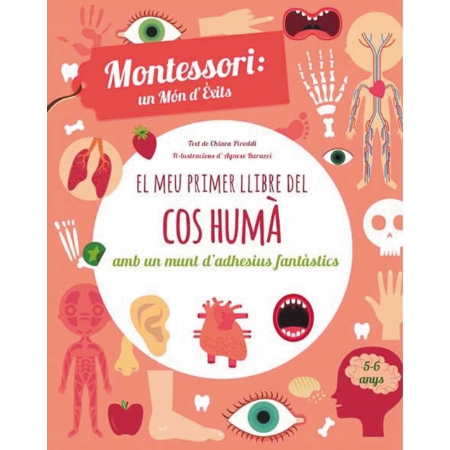 Imagem 0 de EL MEU PRIMER LLIBRE DEL COS HUMA (VVKIDS) (Capa mole)