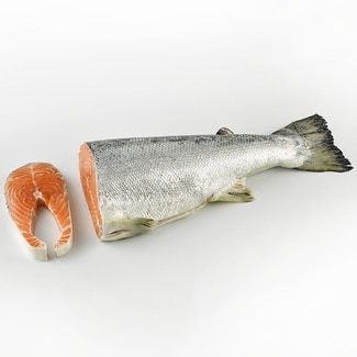 Salmón noruego superior ASC al corte