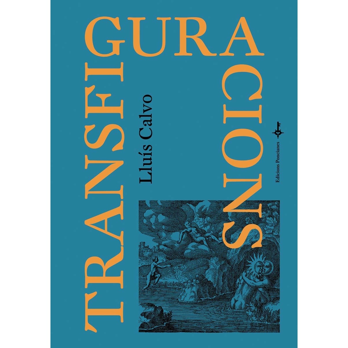 Imagem 0 de Transfiguracions(Tapa blanda)