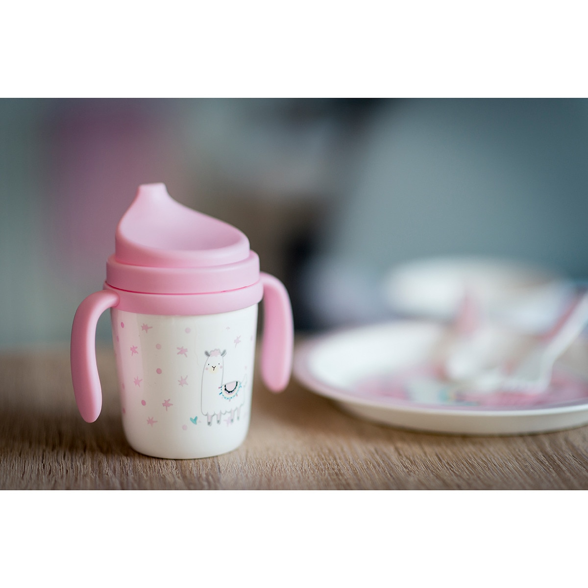 Vajilla 5 piezas Interbaby llama rosa Rosa-7