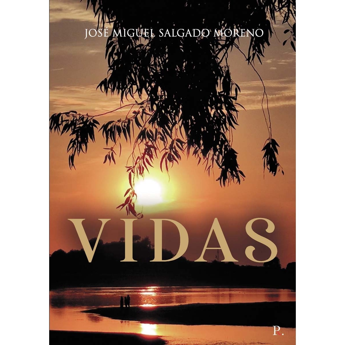 VIDAS 1