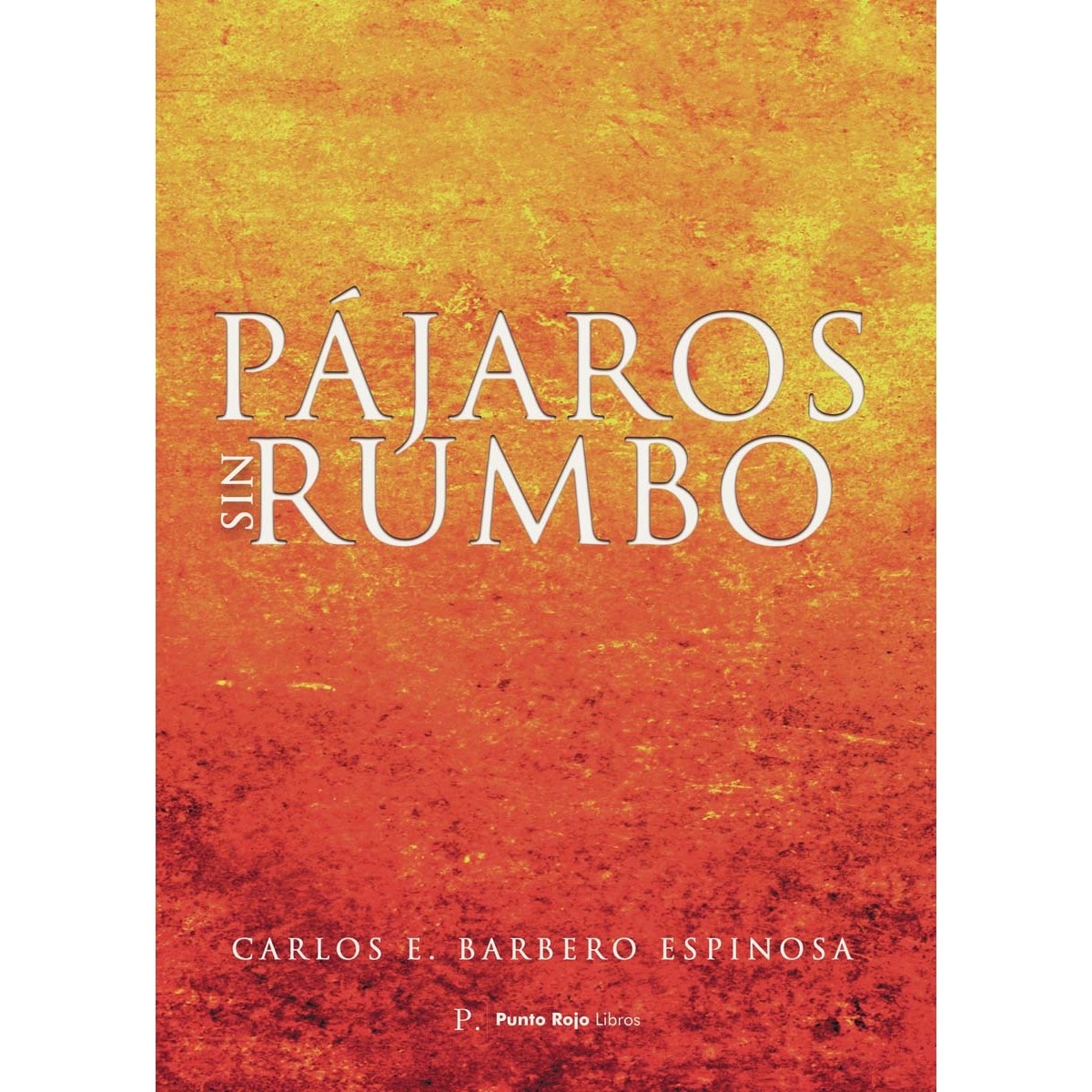 Pájaros sin rumbo 1