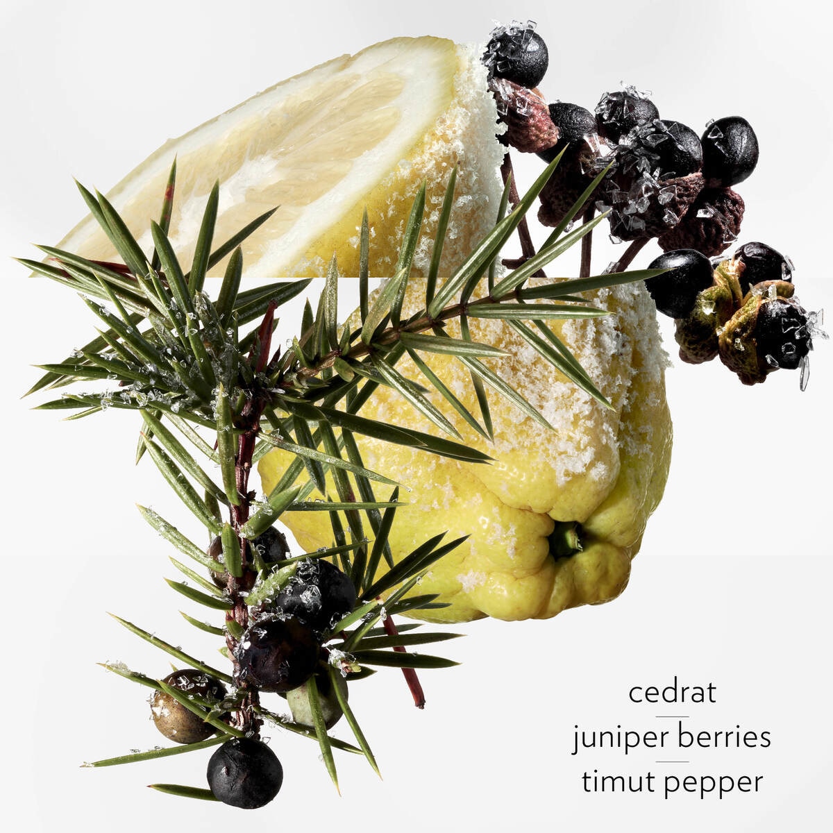 Champô Corpo e Cabelo Terre d'Hermès - 200 ml 3