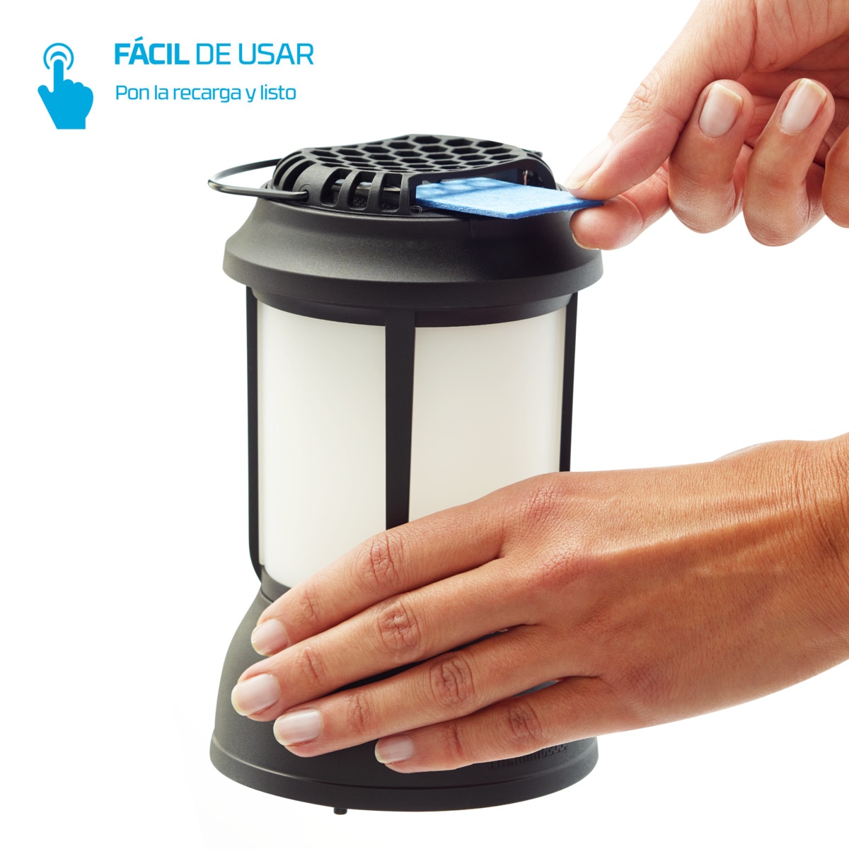 Farol Preto-3