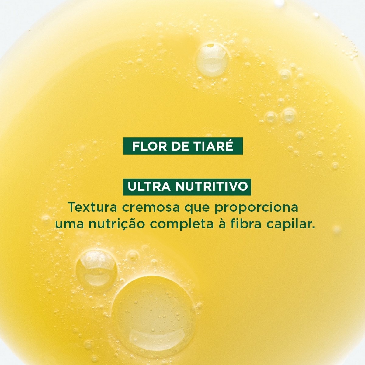 Champô Nutritivo com Tamanu BIO 200ml Klorane 6