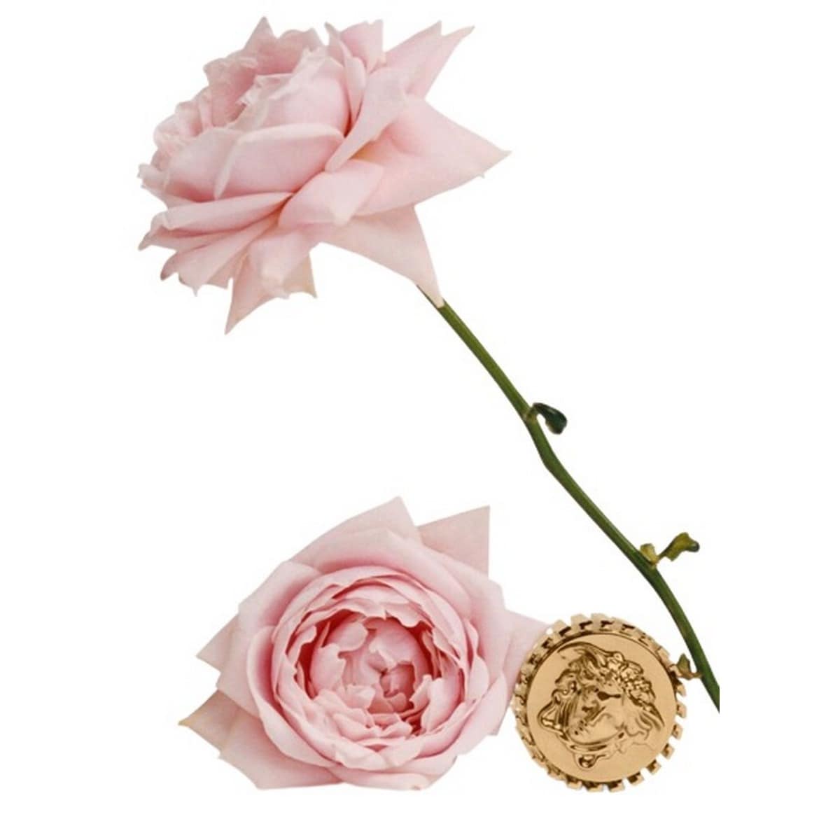 Eclat de Rose Atelier Versace Eau de Parfum - 100 ml 4