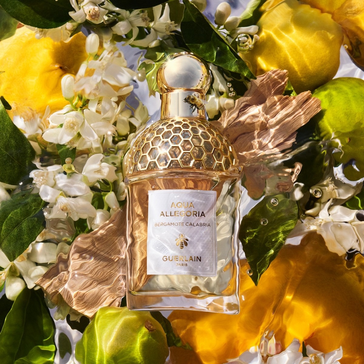 Aqua Allegoria Bergamote Calabria Eau de Toilette - 125 ml 3