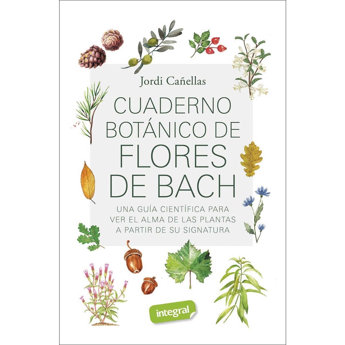 Imagem 0 de Cuaderno botánico de Flores de Bach (Capa mole)