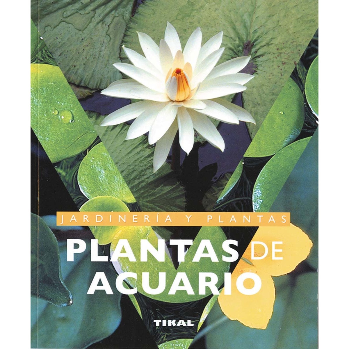 Plantas de acuario(Tapa blanda) 1