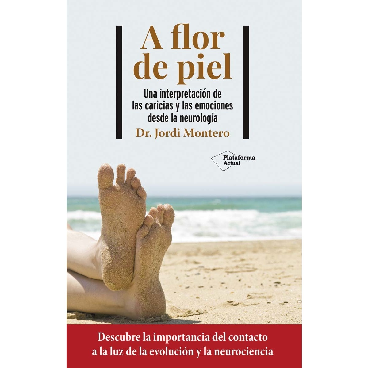 A flor de piel (Capa mole com abas) 1