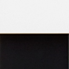 Preto / Branco