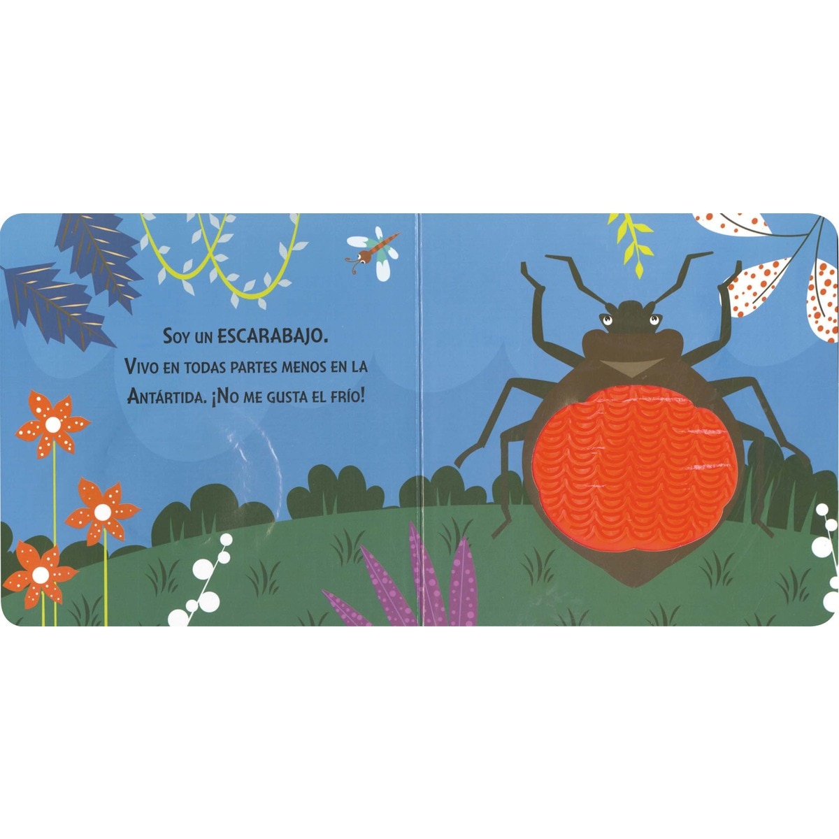 INSECTOS (Capa dura) 3