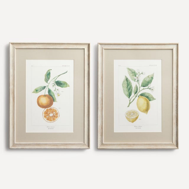 Imagem 0 de Conjunto de 2 Quadros Citrinos
