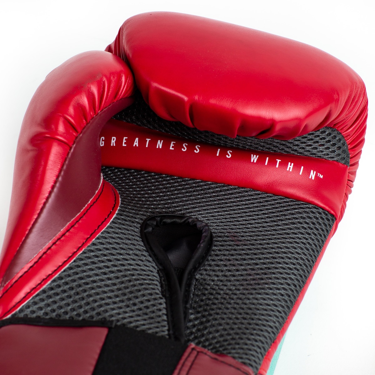 Luvas de Boxe Pro Style Elite 2.0 12 OZ Everlast Vermelho-4