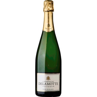Champagne Blanc de Blancs garrafa 75 cl - Delamotte