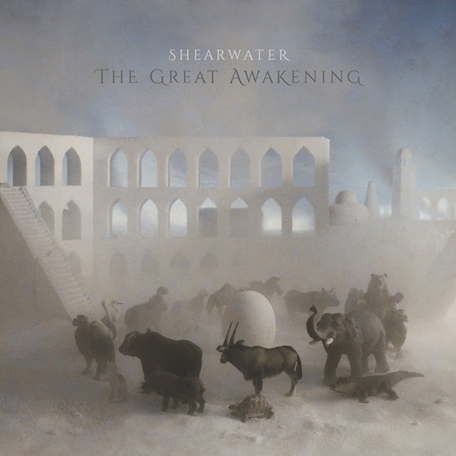 Imagen 0 de The Great Awakening (2 LP-Vinilo)
