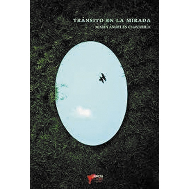Transito de la mirada 1