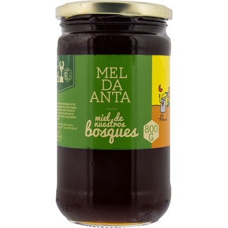 miel de nuestros bosques tarro 800 g - Mel Da Anta