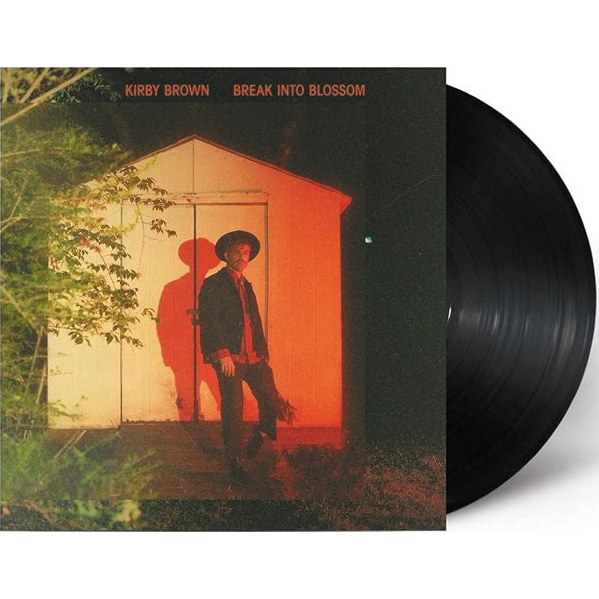 Imagem 0 de Break Into Blossom (LP-Vinil)