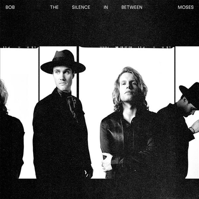 Imagen 0 de The Silence in Between (LP-Vinilo)