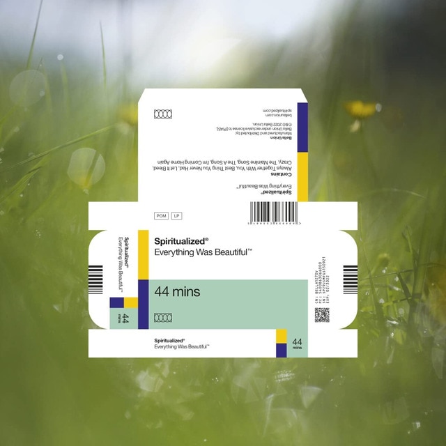 Imagem 0 de Everything was beautiful (LP-Vinil)