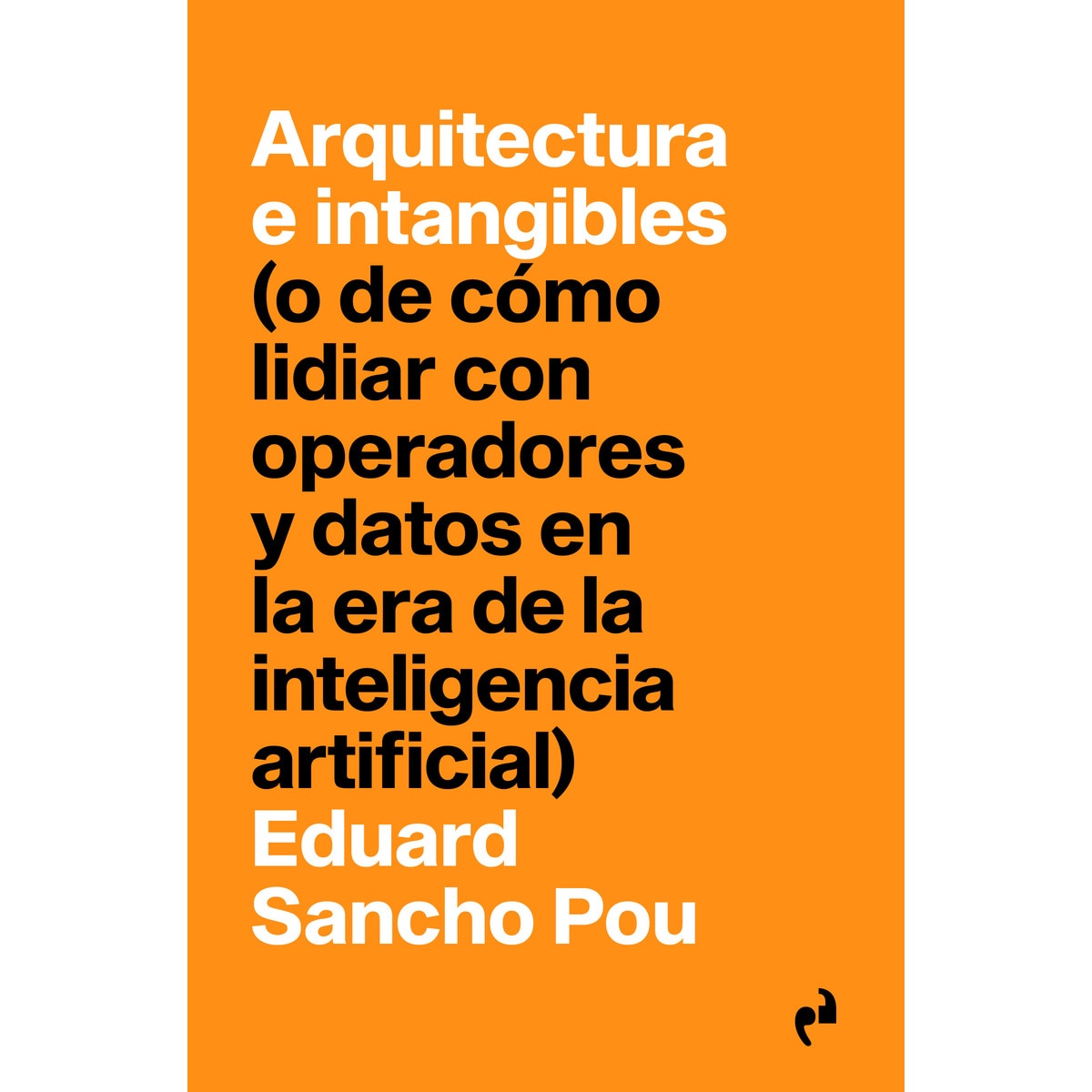 ARQUITECTURA E INTANGIBLES 1