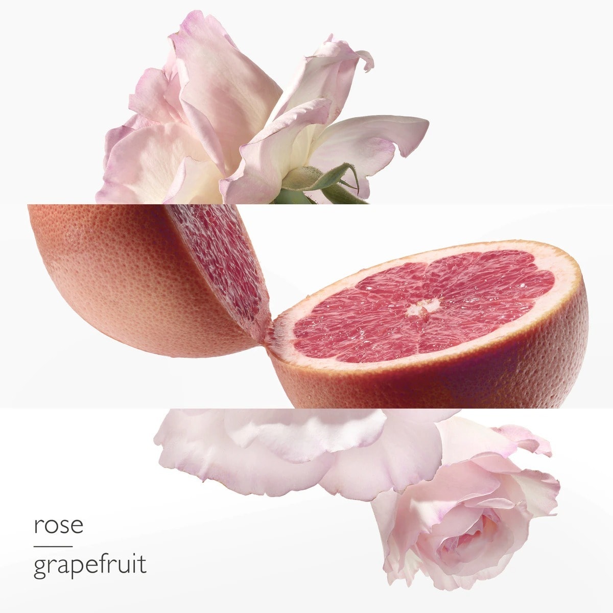 Eau de Pamplemousse Rose Eau de Cologne 2