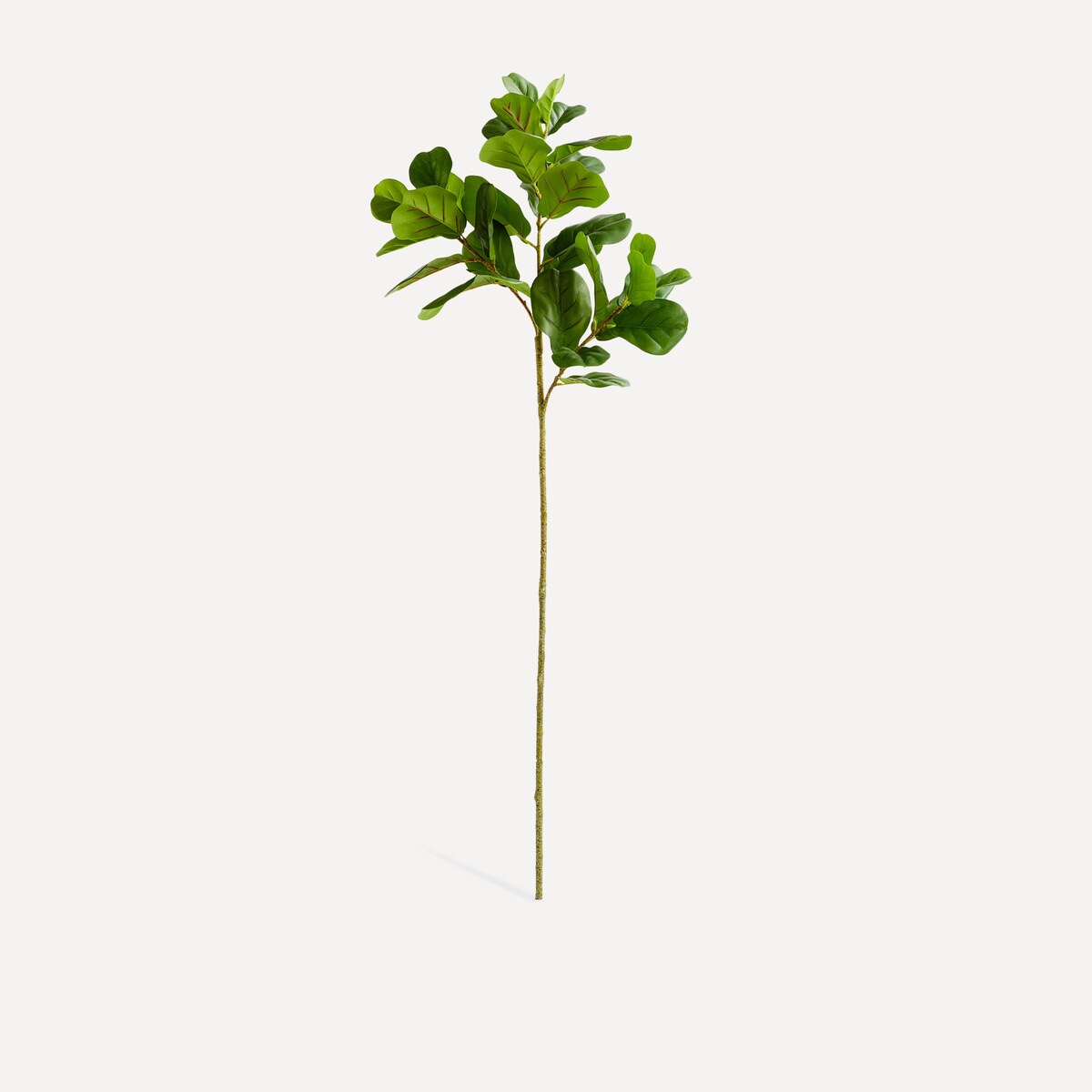 Branche artificielle Ficus