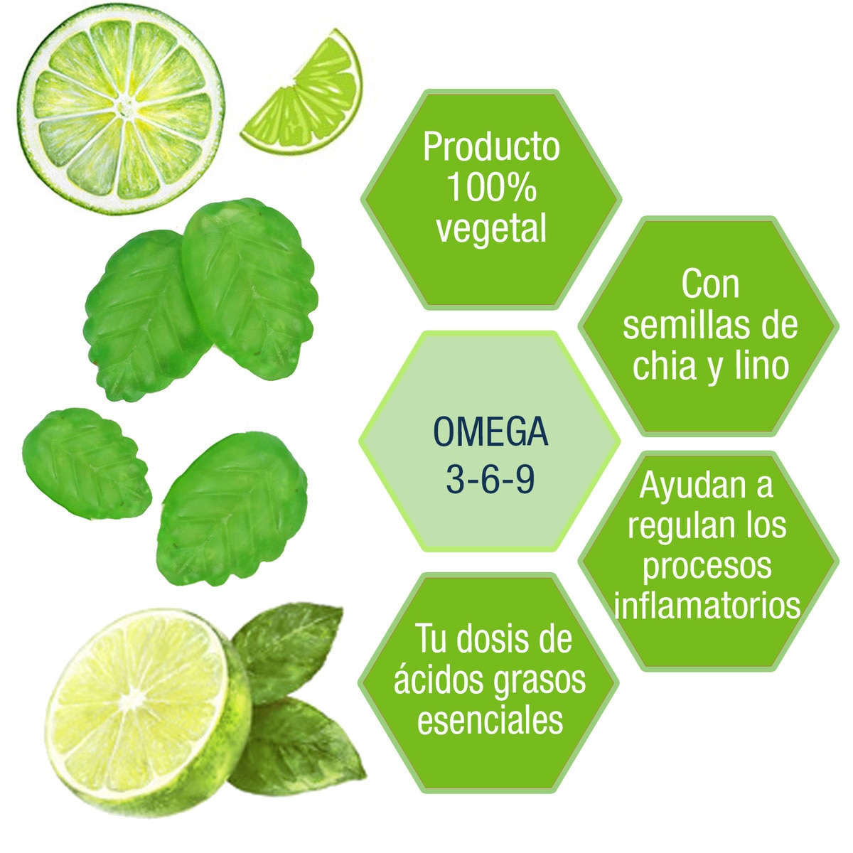 50 Peças Gomas Omega Weider Lima-3